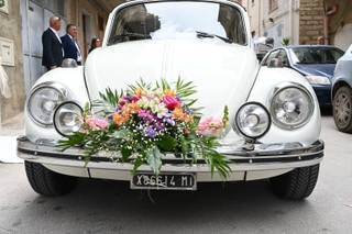 Auto e Fiori Costa - 7