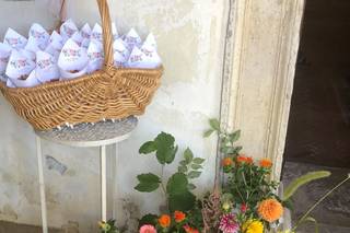 Plantina Flowers - 6