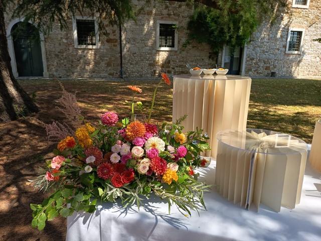 Plantina Flowers - 1