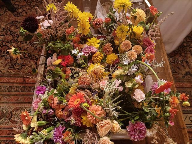 Plantina Flowers - 3