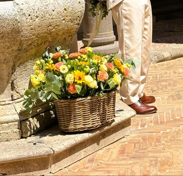 Dal 1978 La Primavera - 1