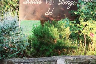 Tree Events Wedding & Party Planner - 10