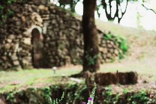 Tree Events Wedding & Party Planner - 11