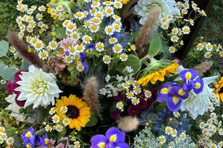Idee da Sogno - 15