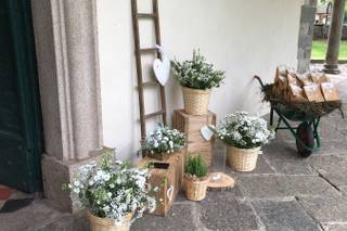 Garden Center Carlo Zanoni di Cerutti - 8