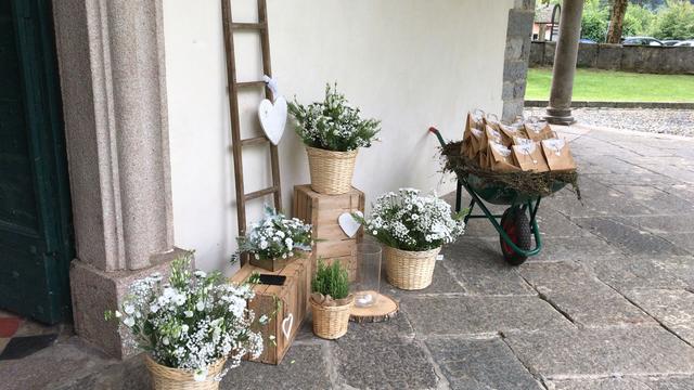 Garden Center Carlo Zanoni di Cerutti - 1