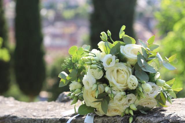Il Giardino e il Fiordaliso Fioreria - 1