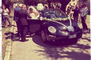 Maggiolino New Beetle di Gio - 1