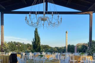 Albero catering - 1