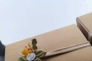 Leccornie sotto gli Ulivi - 21