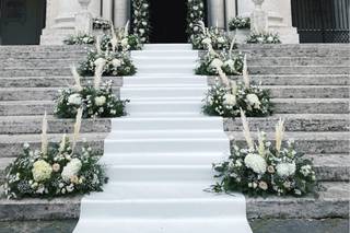 Il Tulipano Nero Elegance - 23