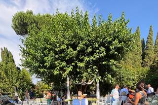 Vivaiosettemetri - 6