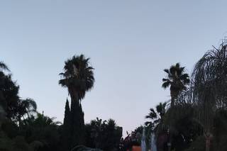 Paradiso di Barchi - 8