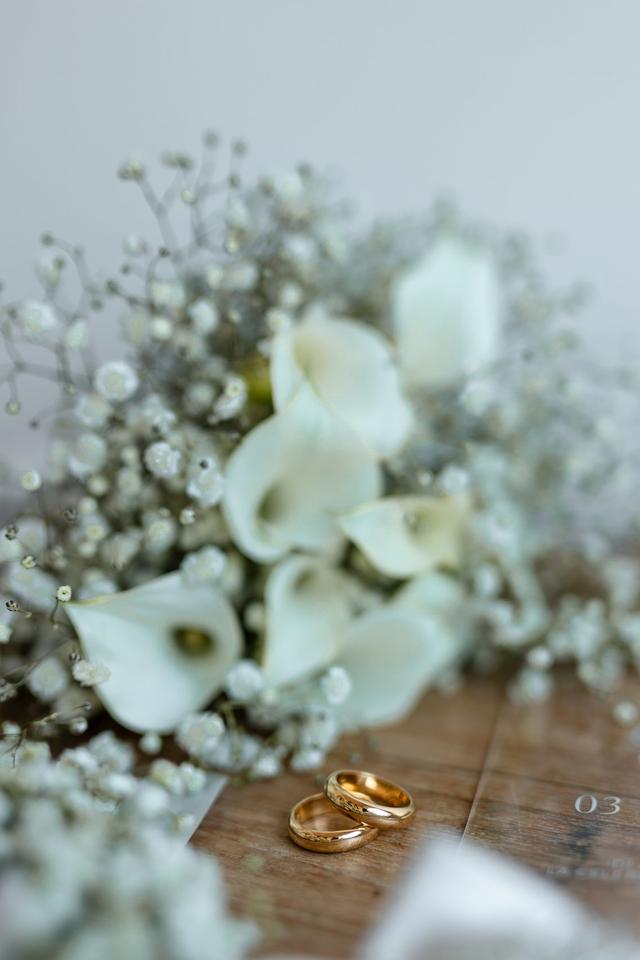 Vivaiosettemetri - 4