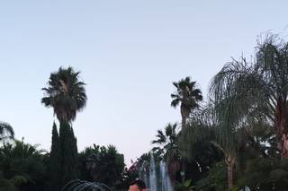 Paradiso di Barchi - 9