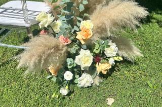 Regini Fiori e Piante - 12