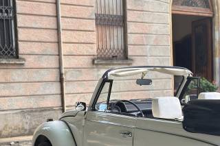 Gualtieri Autoservizi - 7