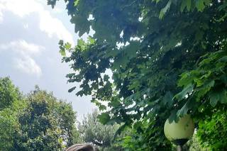 Manuela make-up nails - 1