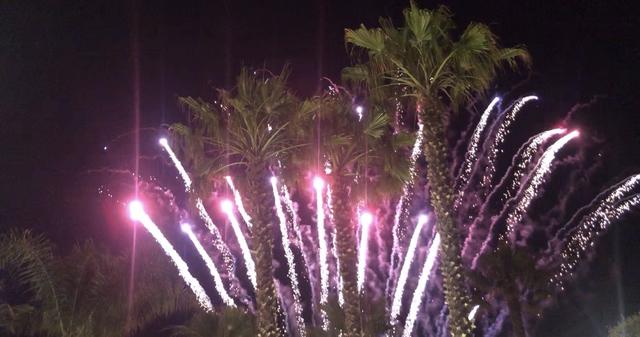 Art Fire - Fuochi d'artificio - 4
