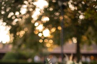 Agriturismo Massari - 8