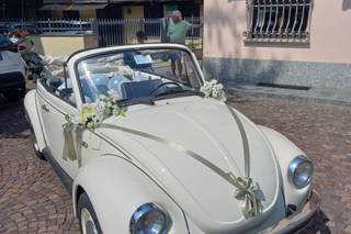 Franco Pedrizzetti - Maggiolone Cabrio - 5