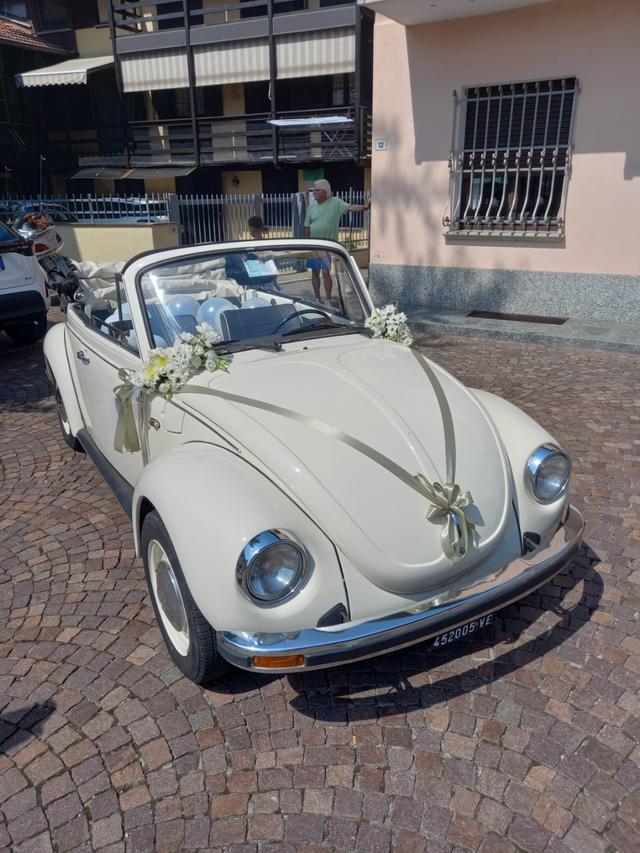 Franco Pedrizzetti - Maggiolone Cabrio - 3