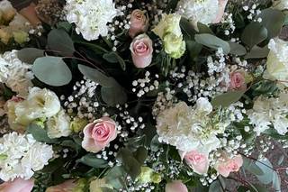 Fagnani Fiori - 9