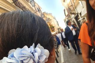 Fioreria Idea Verde Rimini - 17