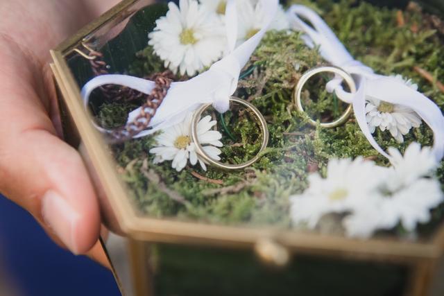 Fioreria Idea Verde Rimini - 4