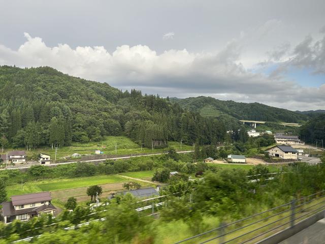 Lisciotto Viaggi - 4