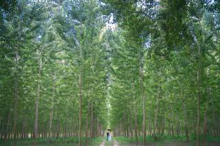 Matteo Lomonte Photography - 13