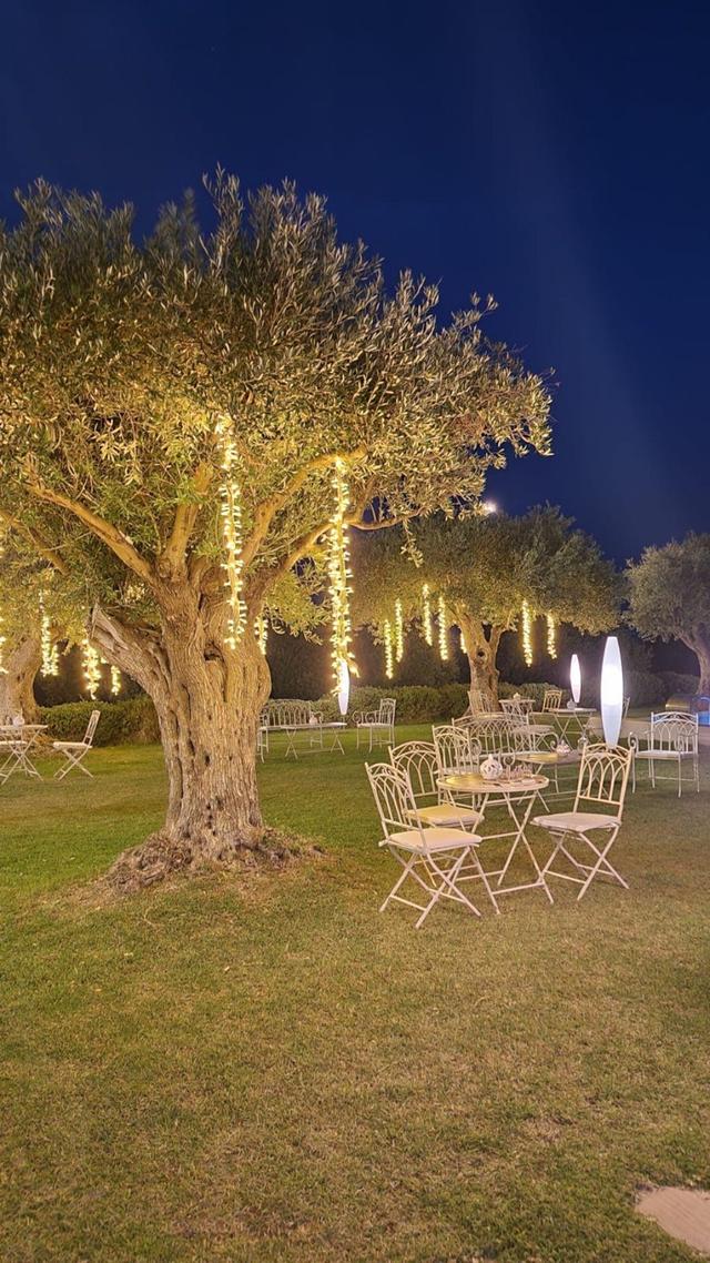 Elena Grasso Wedding & Event Planner - 2