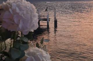 Florgarden di Barlascini Maurizio - 14