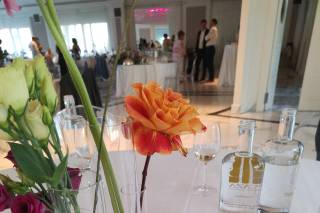 Luca Di Virgilio - 21