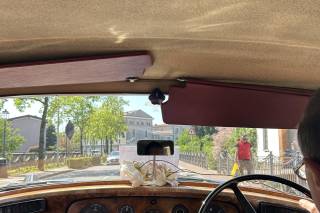 Lady Limousine - 10