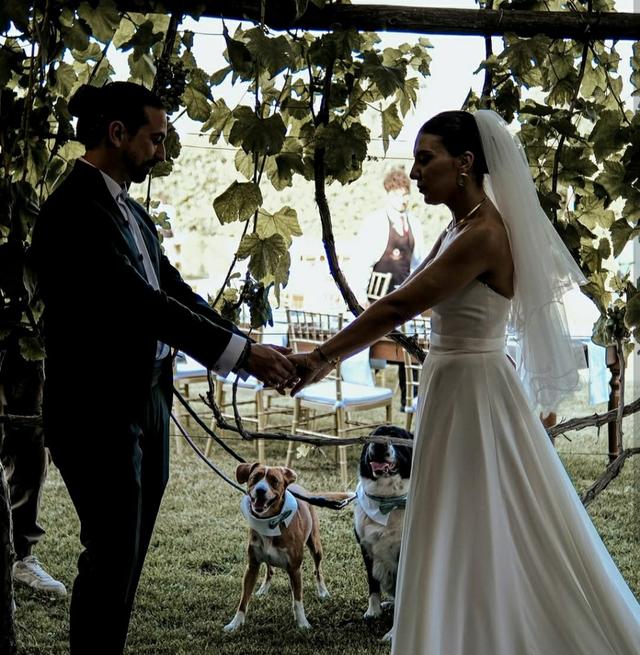 Bosco de' Medici Wine Resort - 1