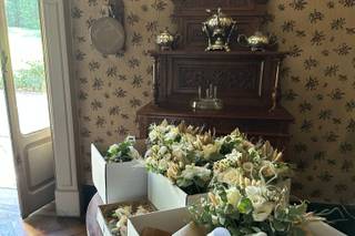 Colombo Fiori & Piante - 6