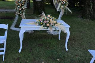 Colombo Fiori & Piante - 7