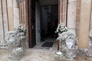 Fiori Ferrara - 7