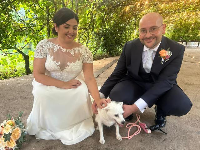 Maria Dog & Love Sitter - 4