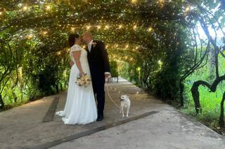 Maria Dog & Love Sitter - 8