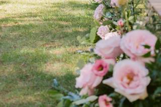 White Cat Wedding - 14