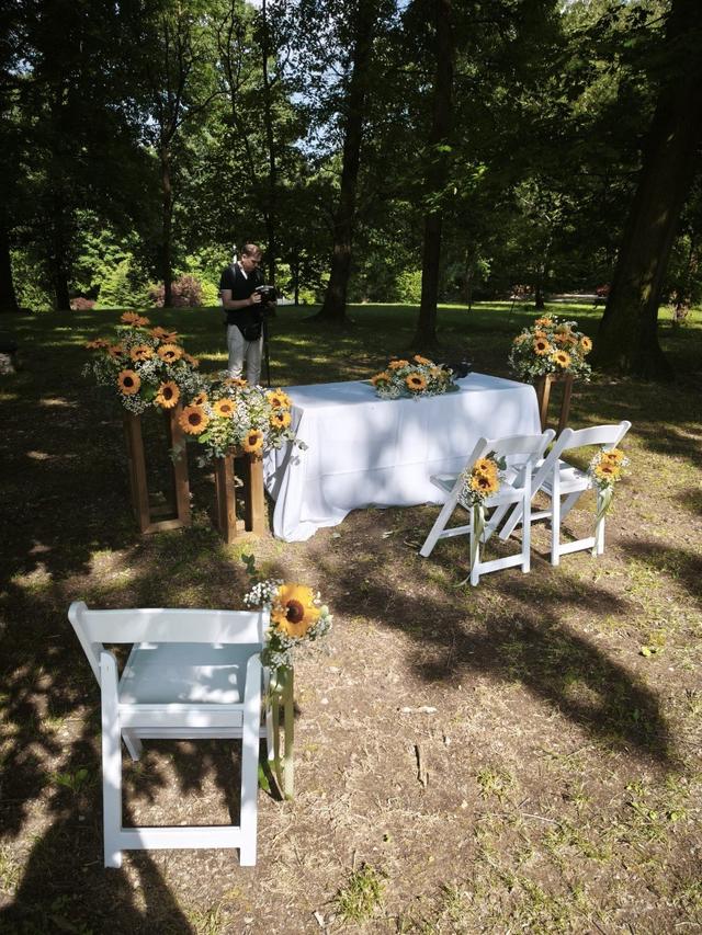 La Fiaba nel Bosco - 2