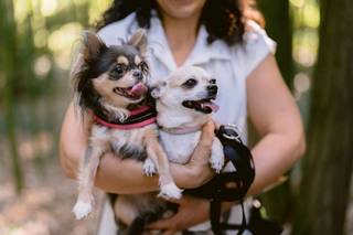 Silvia Wedding Dog Sitter - 6