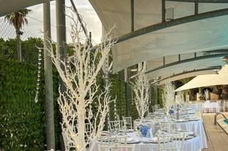 Villa Orchidea - 15