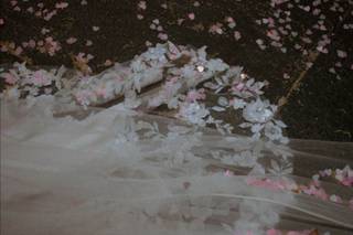 Gallarate Sposa - 6