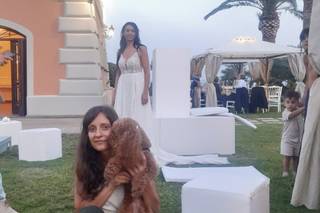 Le Cat e Dog Sitter - Wedding - 20
