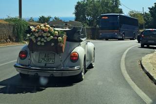 Cuori In Marcia - 5
