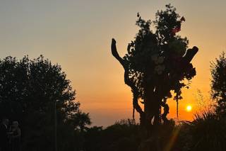 Tenuta Leone - 6