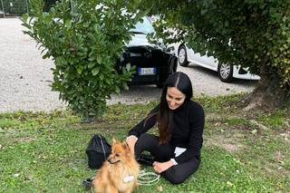 Wedding Family Dogs - 1